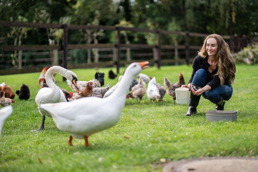 شلوسريسيدنز بوتيك أبارتمنتس آند هوتل سويتن المنطقة الخارجية