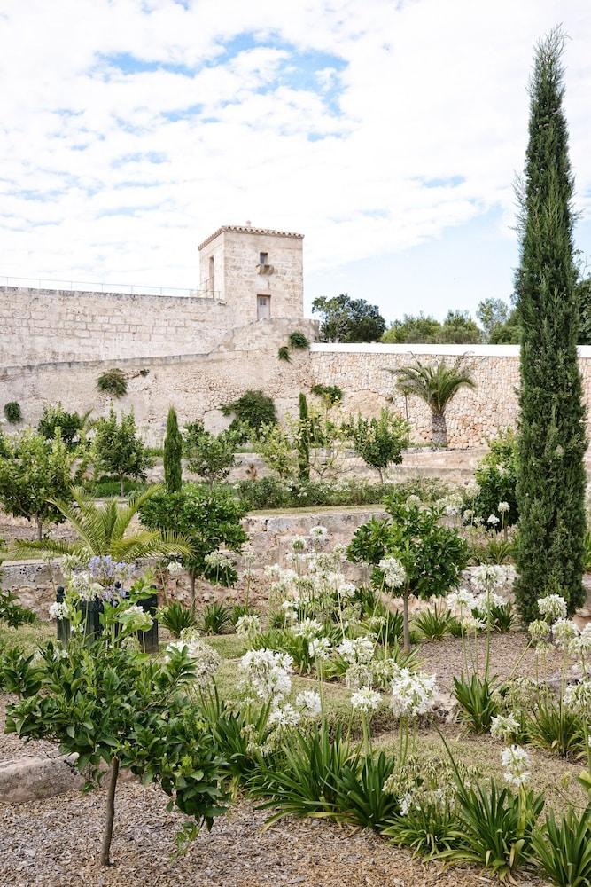 سانتا بونسا - فونتينيل كوليكشن المنطقة الخارجية