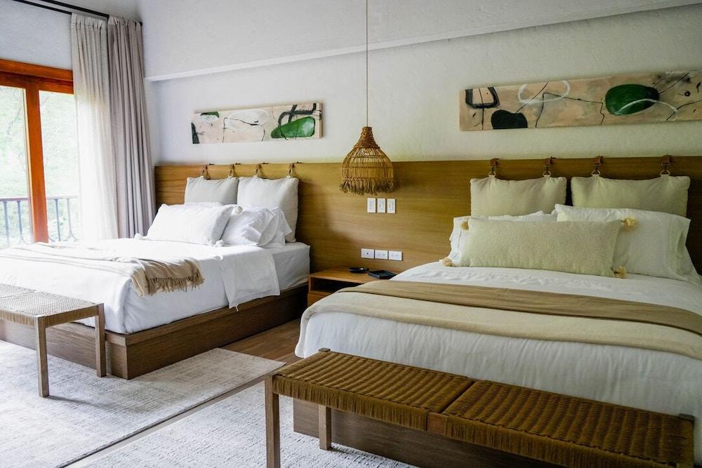 ماونتينز أوف هوب غرفة