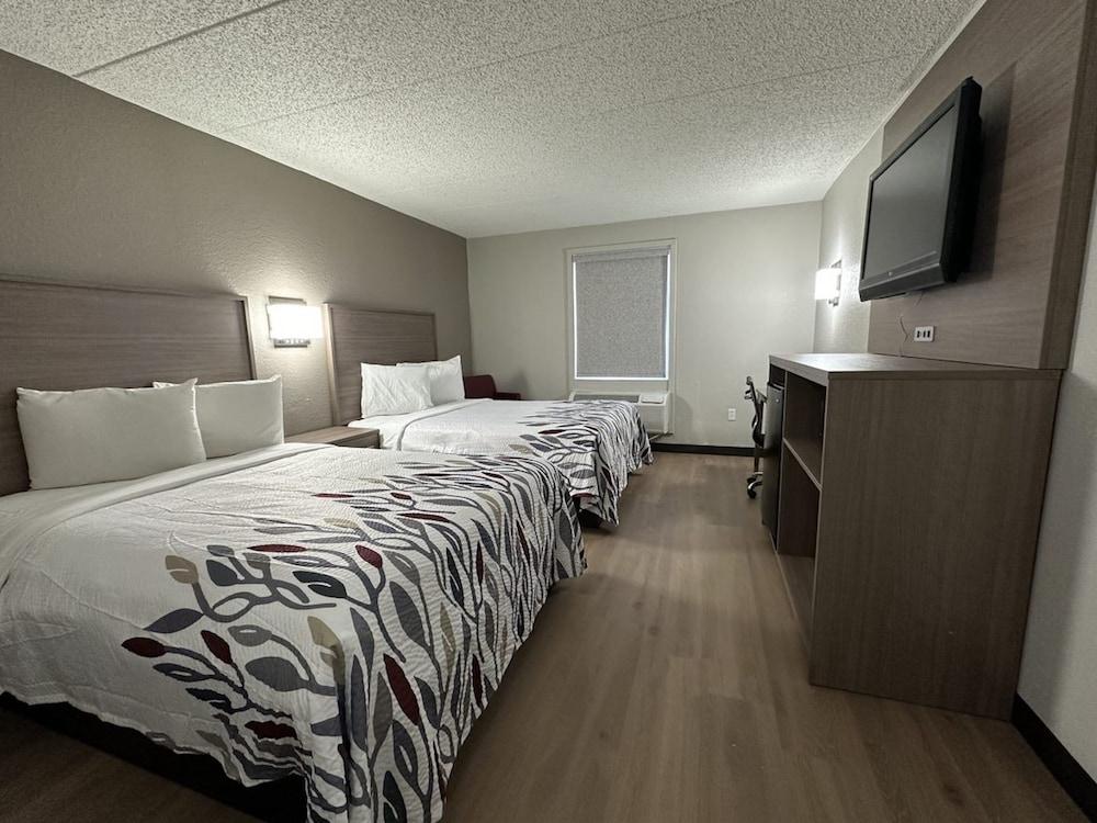 ريد روف إن ريتشمون، افيفرنيا