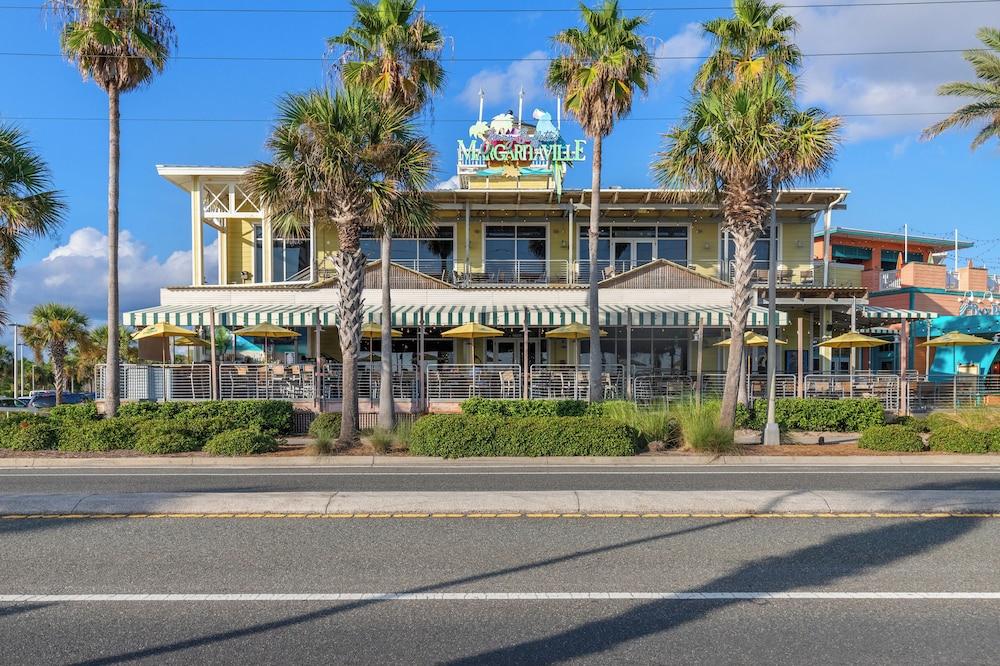 باينابل بارادايس! 6بد روم بام بيرتش فرونت هاوس! برايفت بول! جريل! سليبس 16! المنطقة الخارجية