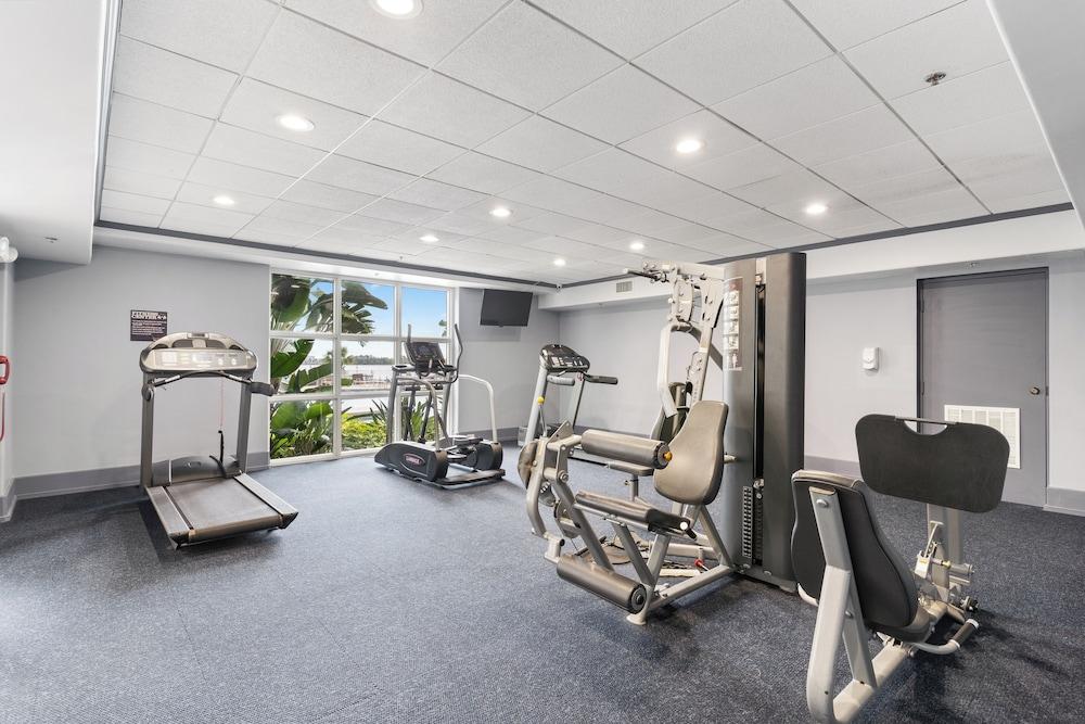 رينو فاتد كوندو 2ميل آواي فروم ديسني المنطقة الخارجية