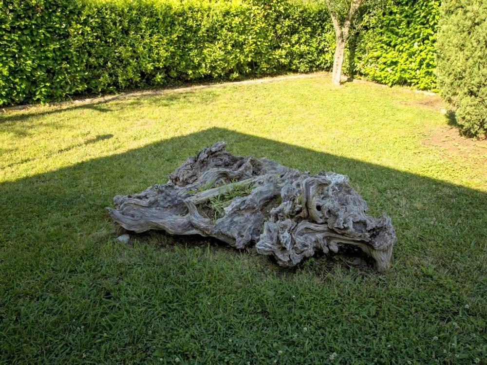 بيلفيلا باي أو واي ام نتيبيلو بيل إيه المنطقة الخارجية