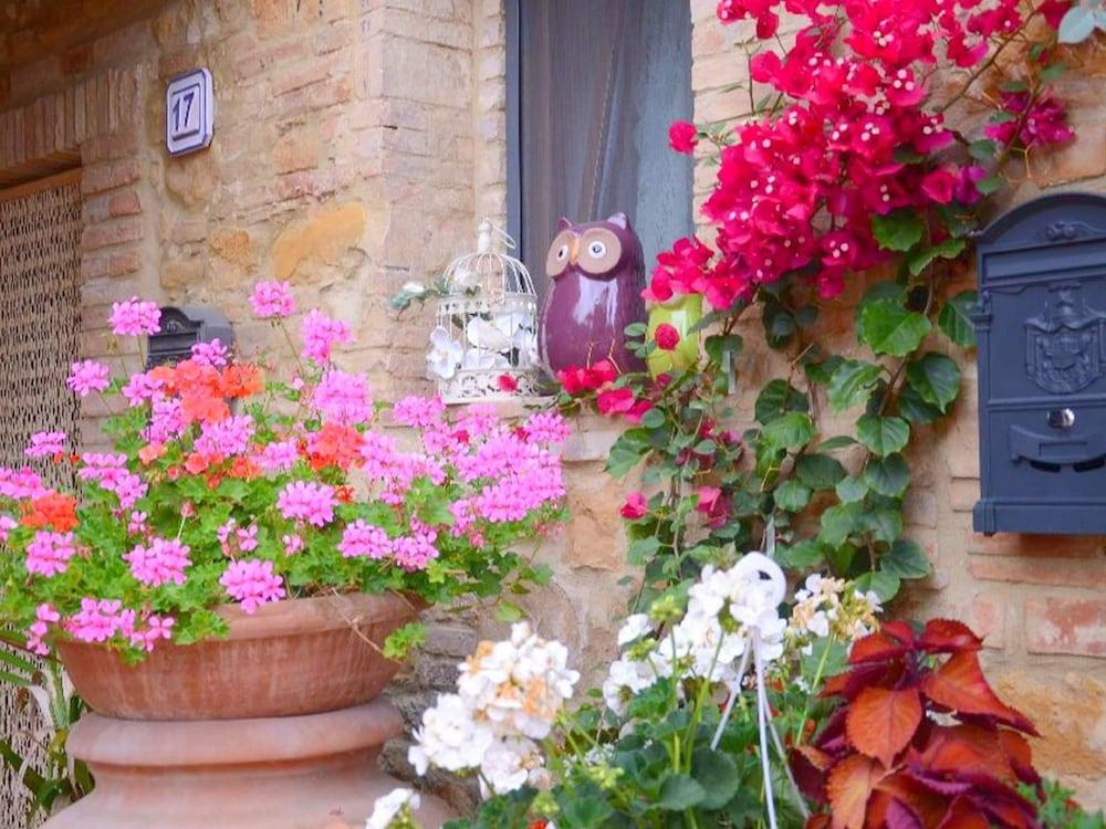 بيلفيلا باي أو واي ٔ رمهاوس إن مونتايون المنطقة الخارجية