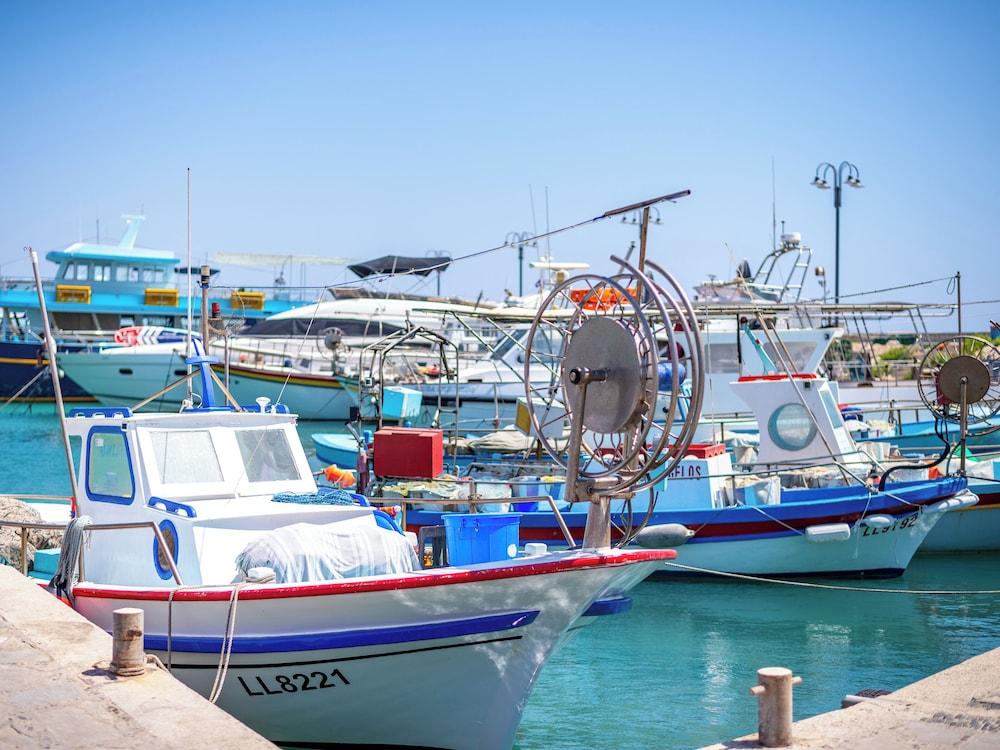 ساندرز فلوريدا - بوبولار 1 ب داور ابارت دبليسيا فيو المنطقة الخارجية