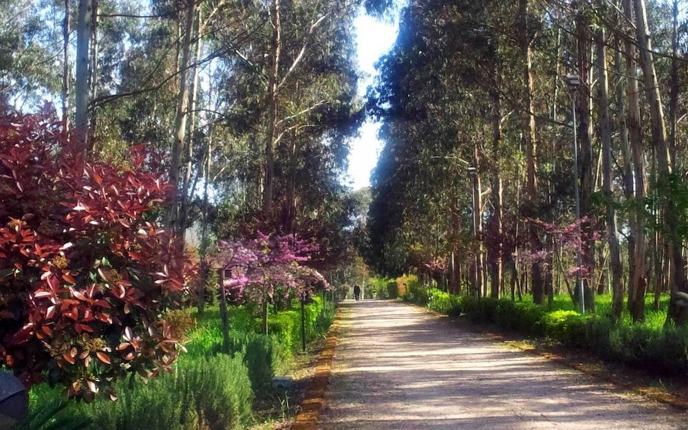 Il Nibbio Reale Country House Property Grounds