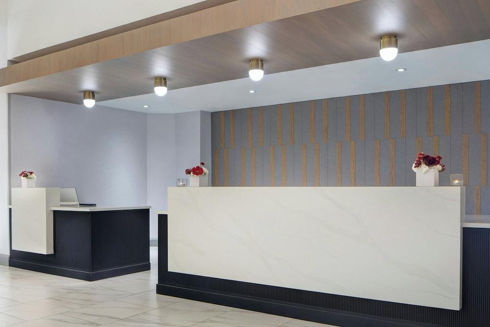 دالاس أديسون ماريوت كوروم باي ذا جاليريا منطقة الاستقبال