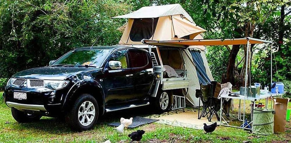 ليك إيتشام توريست بارك آند سيلف كونتايند كابينز المنطقة المحيطة بالمنشأة