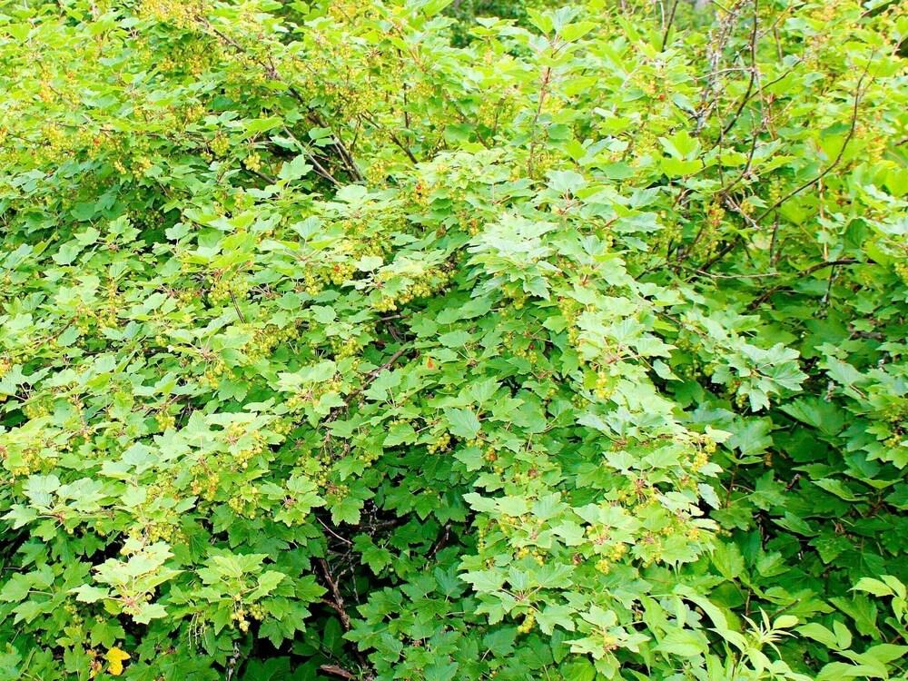 2 بيرسون هوليداي هوم إن جارتوم المنطقة الخارجية