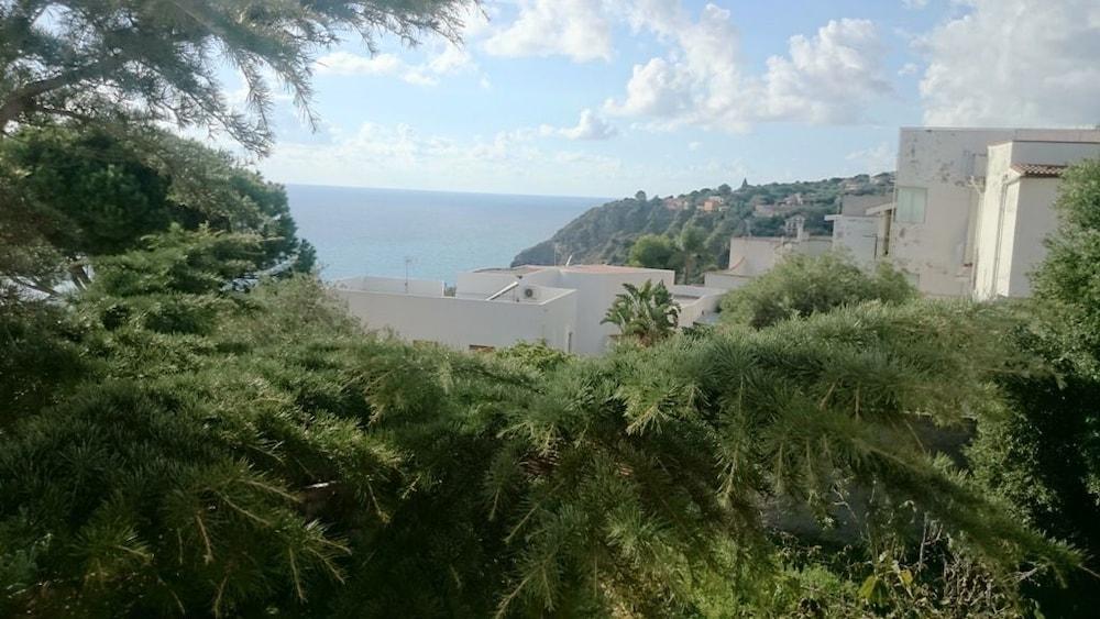 إمانويل كانت بي بي الصورة الأساسية