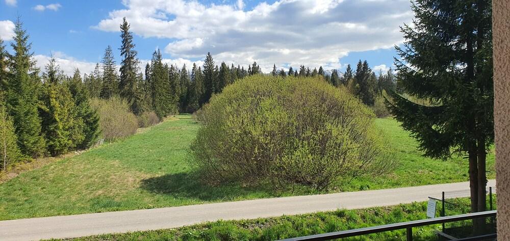 أبارتامنتي جورسكي كريشتال المنطقة الخارجية