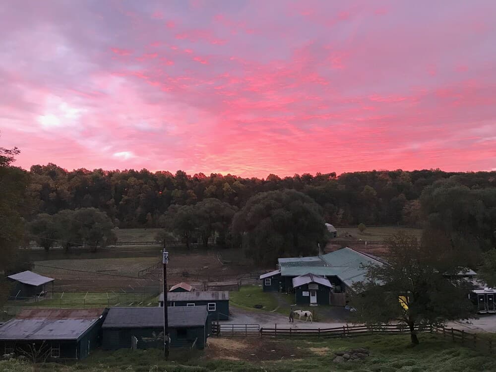 The Homestead Property Grounds