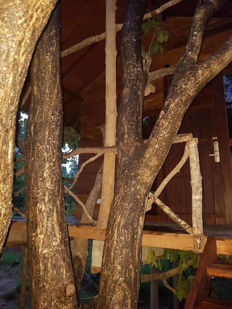 Eighth Wonder Resort Property Grounds