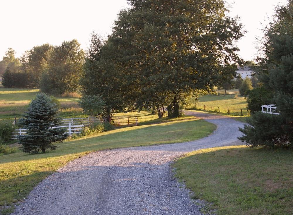 ذا إن آت ويستويند فارم بي آند بي المنطقة المحيطة بالمنشأة