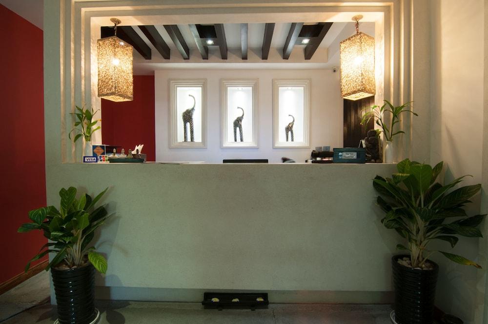 لا روز بوتيك هوتل آند سبا منطقة الاستقبال