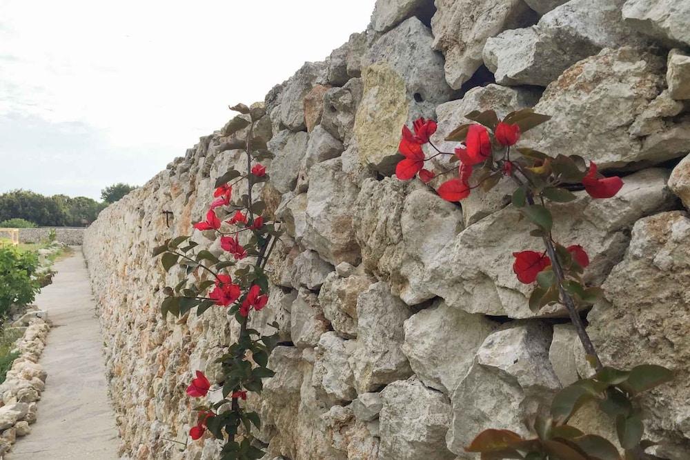 Masseria Gelsi Property Grounds