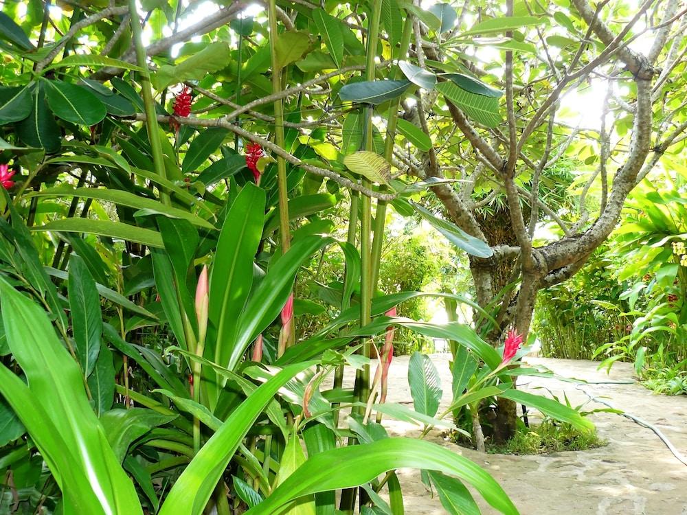 Mealea Resort Property Grounds