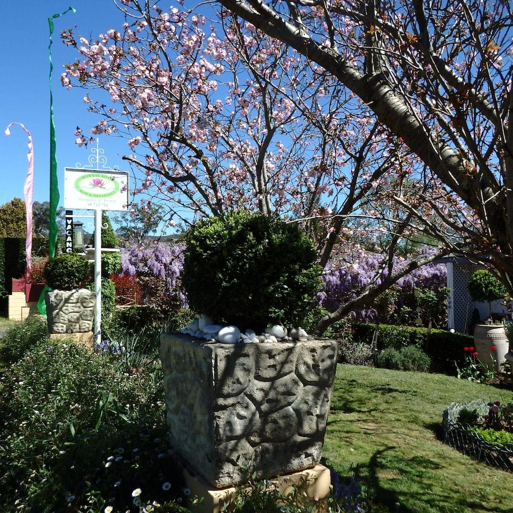 بورال رود بيد آند بريكفاست المنطقة المحيطة بالمنشأة