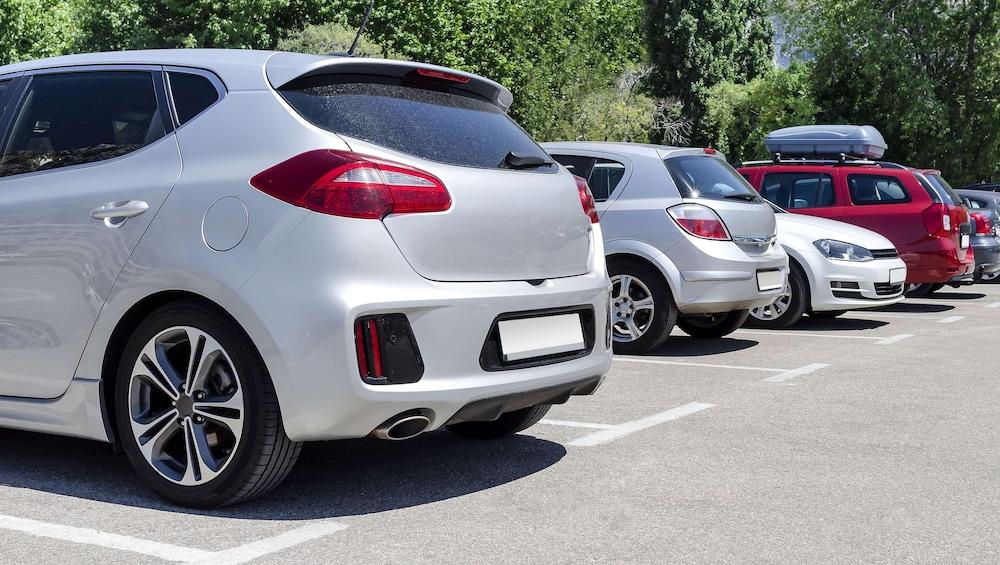 ماجنوسون هوتل ووزون أخرى