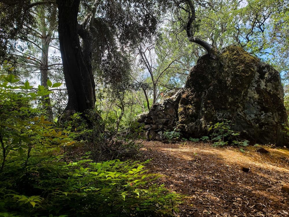 سوبر 8 باي ويندام أوبيرن المنطقة المحيطة بالمنشأة