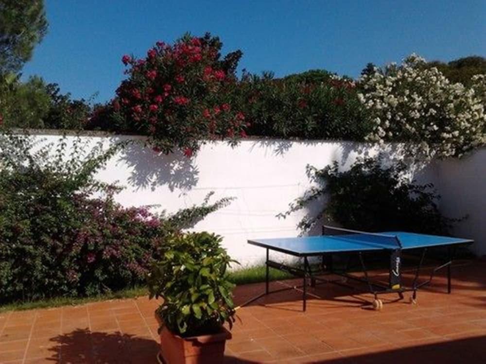 بي آند بي إيه كازا دي جوي المنطقة الخارجية