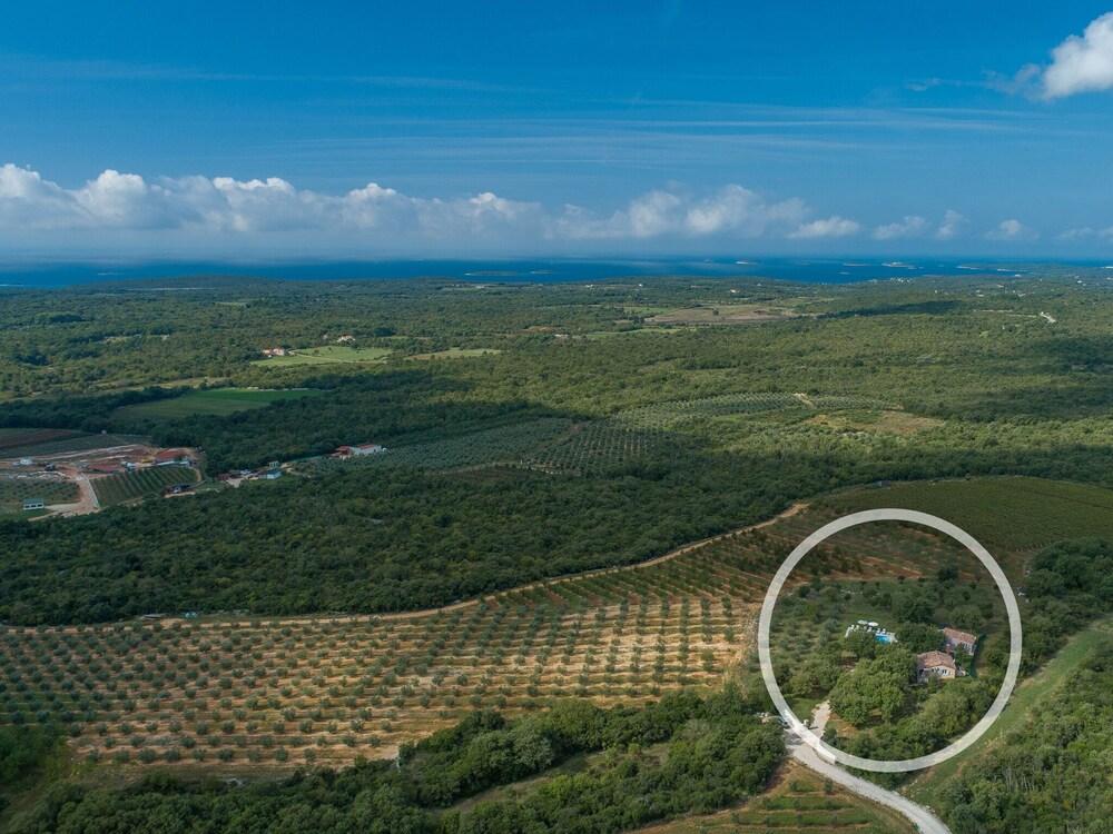 هوليداي هاوس ويذ بول، جاردن، بلاي جراين دي آند بي بيكي - سورونديد باي نيتشر المنطقة الخارجية