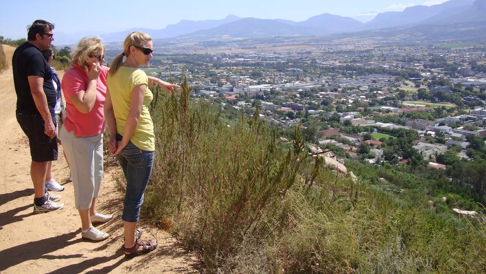 ألبا هاوس بد آند بريكفاست المنطقة الخارجية