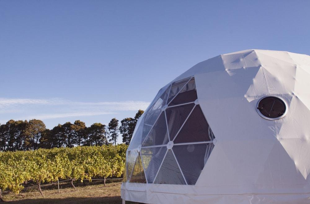 Domescapes in the Vines Exterior