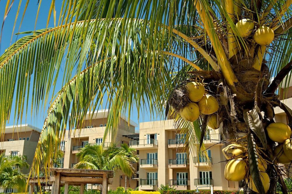 Wyndham Garden Villavicencio RNT 26993