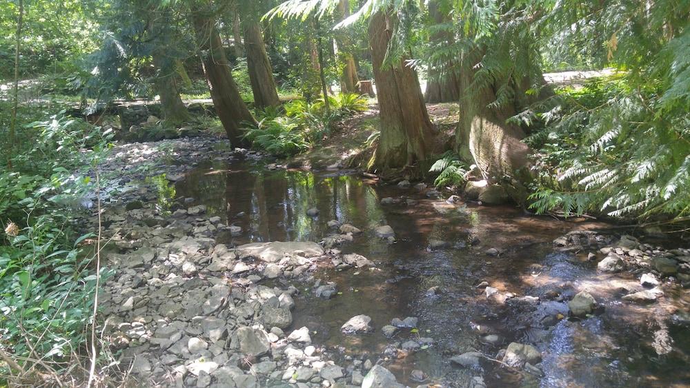 سكوت كريك فارم