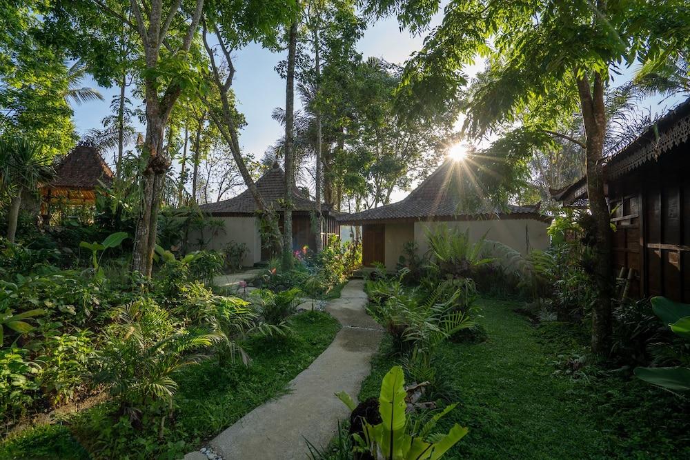 Sunia Jungle Featured Image
