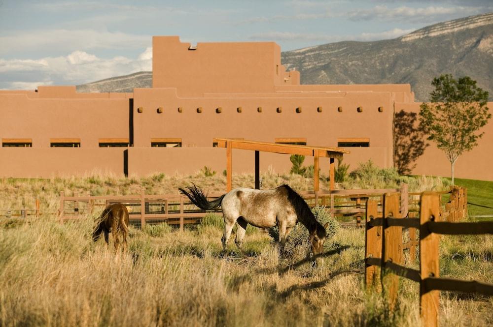 حياة ريجنسي تامايا ريزورت آند سبا المنطقة الخارجية