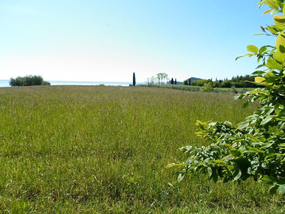 إل فولتو ديل لاجو رومز آند أبارتمنتس المنطقة الخارجية