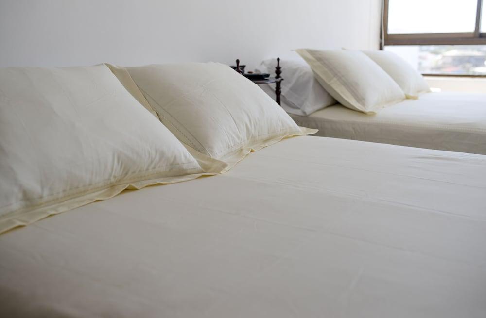 أبارتامنتوس باييا فراجاتا الصورة الأساسية