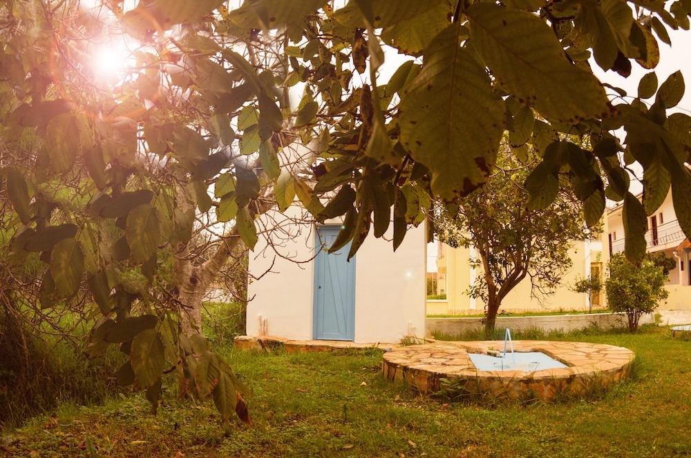 أوليف جروف ريزورت المنطقة الخارجية