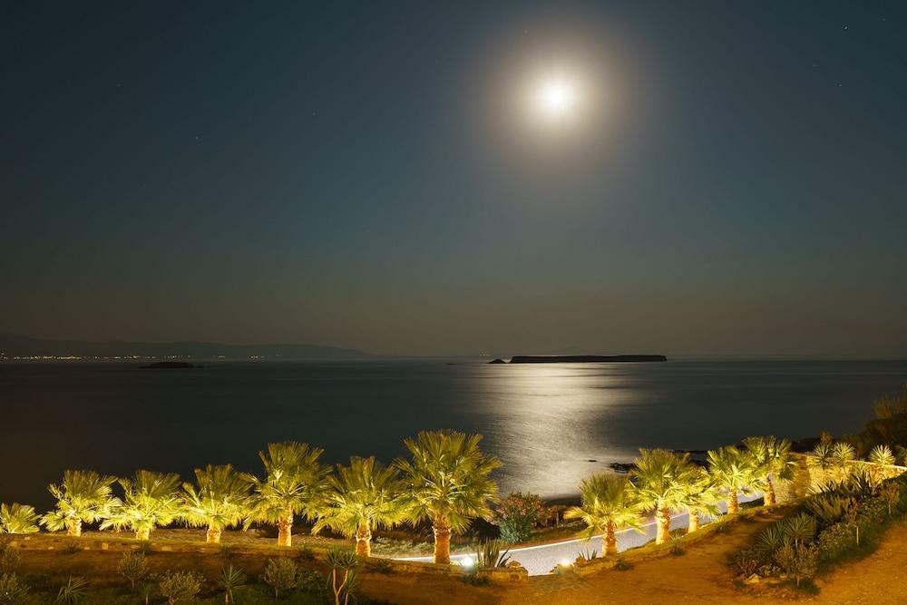 Paros Blue Dolphin Featured Image