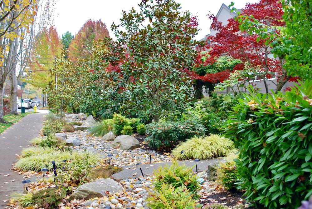 ويل أبوينتيد آند مودرن بلس باركينج المنطقة الخارجية