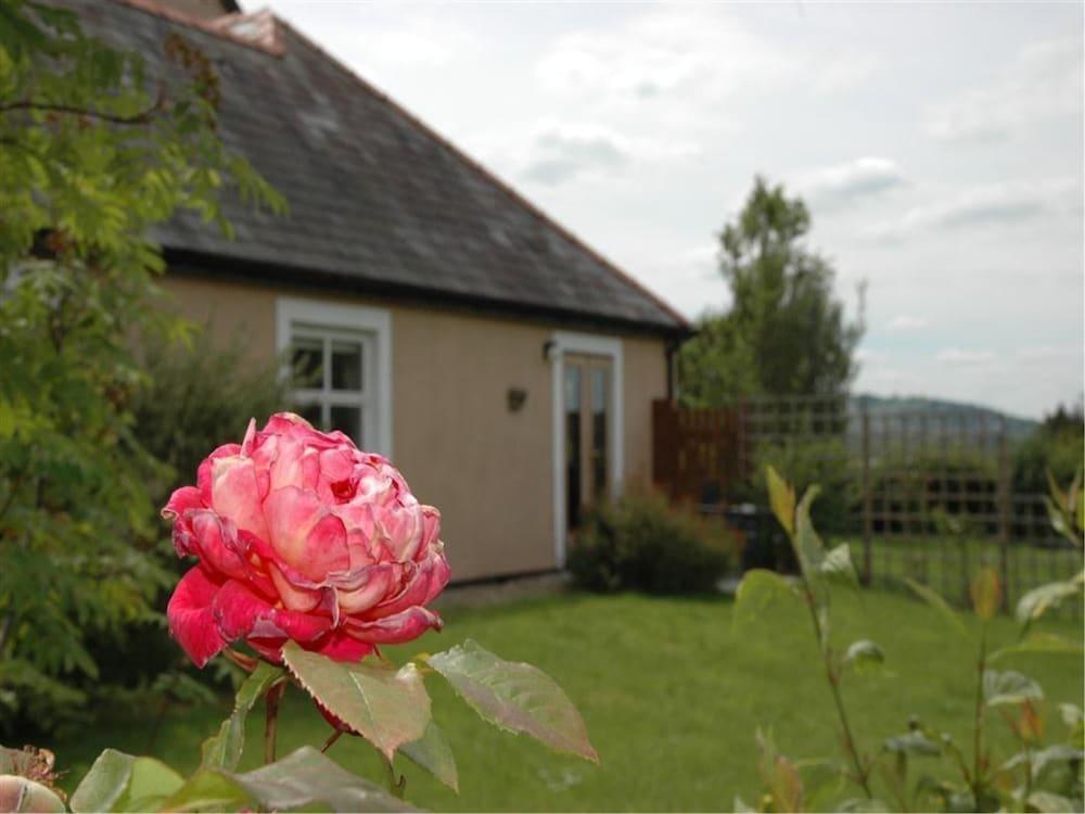 A Delightful Little Cottage With Large Garden and Views to The Black Mountains Exterior
