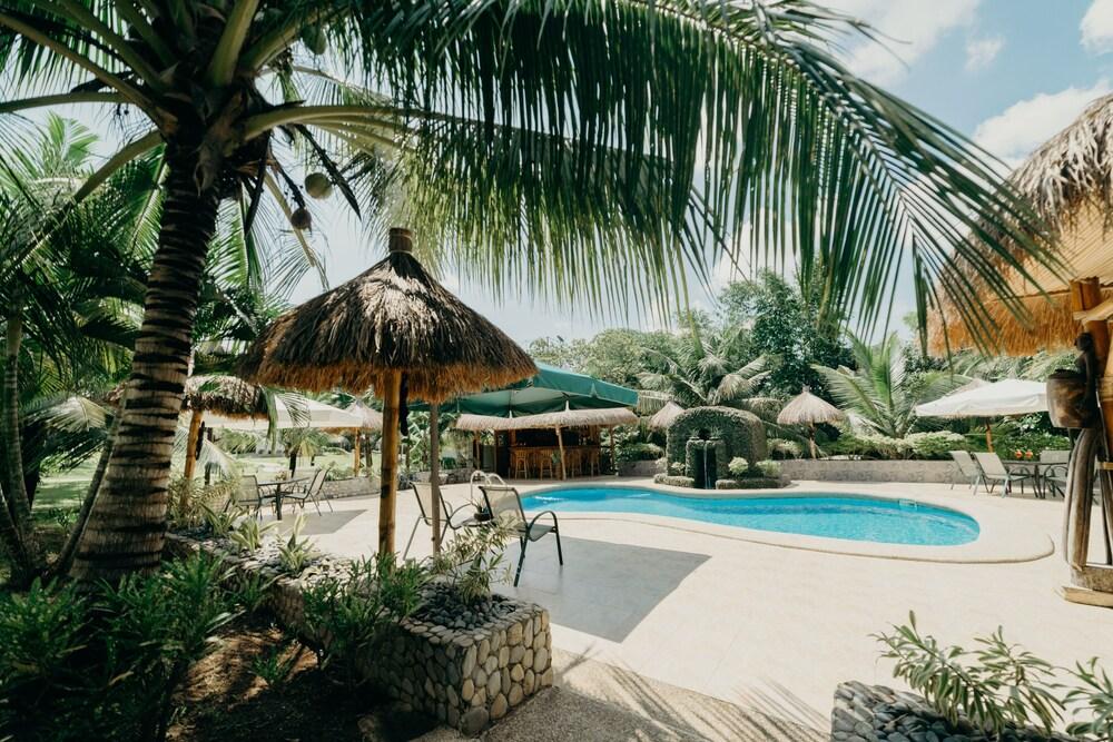 لا كاسا دينيكا