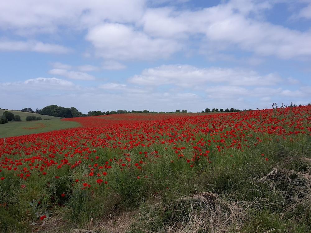 لا فيرمي ديه مولينو دو بايلي الصورة الأساسية