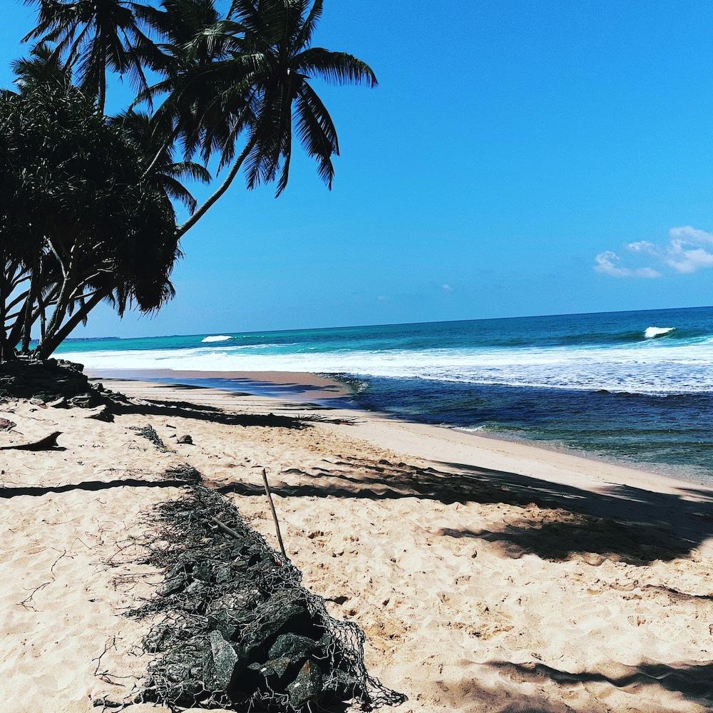 ترانكويليتي