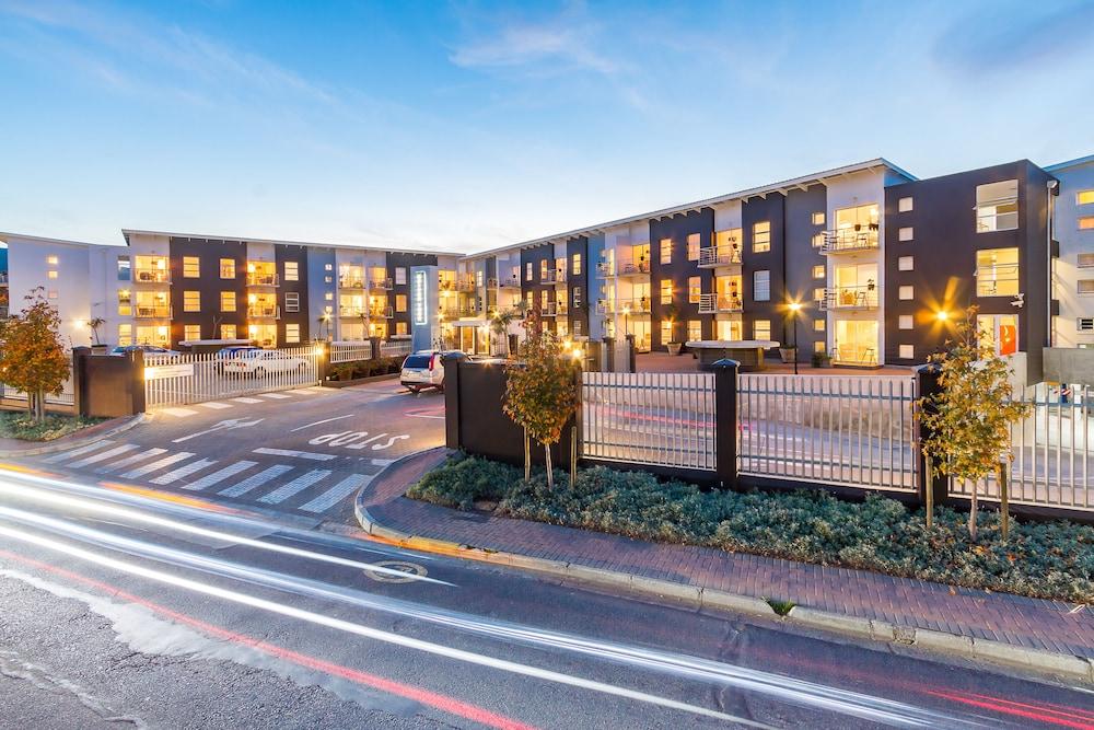 WINK Quiver Tree Featured Image