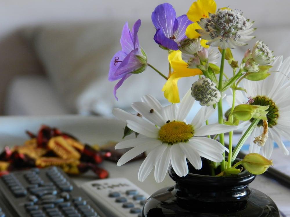 بلو وول بد آند بريكفاست - بيزنس أبارتمنتس المنطقة المحيطة بالمنشأة