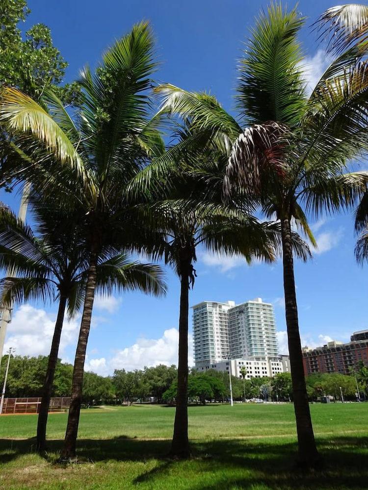 أوشن ميليون دولار فيو ستوديو + بالكوني نمبر 3 المنطقة المحيطة بالمنشأة