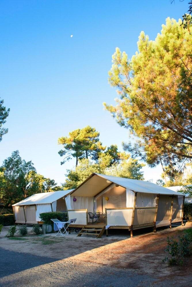 فيليدج فاكونس لو شاتو دو تريمبيرت المنطقة الخارجية