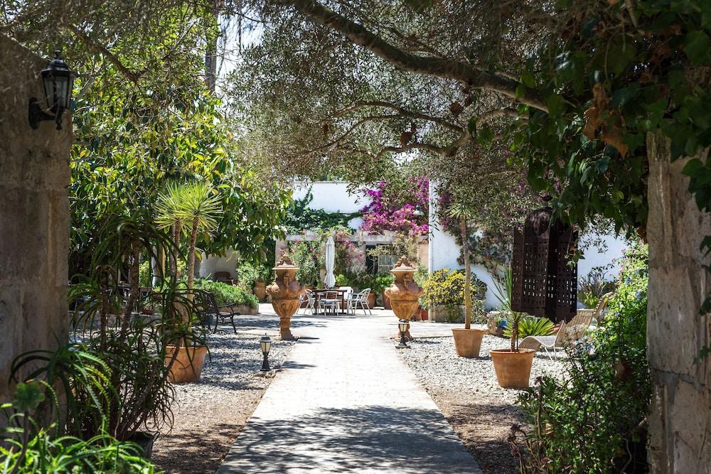 هوتل رورال بينياروكا - للبالغين فقط الردهة