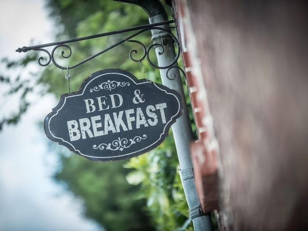 بلوميس آند كوتون