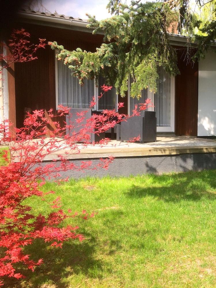 فيرينهاوس بي فين