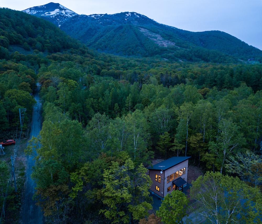Forest Hideaway Aerial View