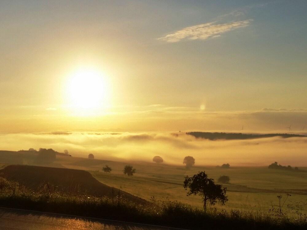 بليسفول هوليداي هوم إن\باتنبيرج ويذ فينسيد جاردن المنطقة الخارجية